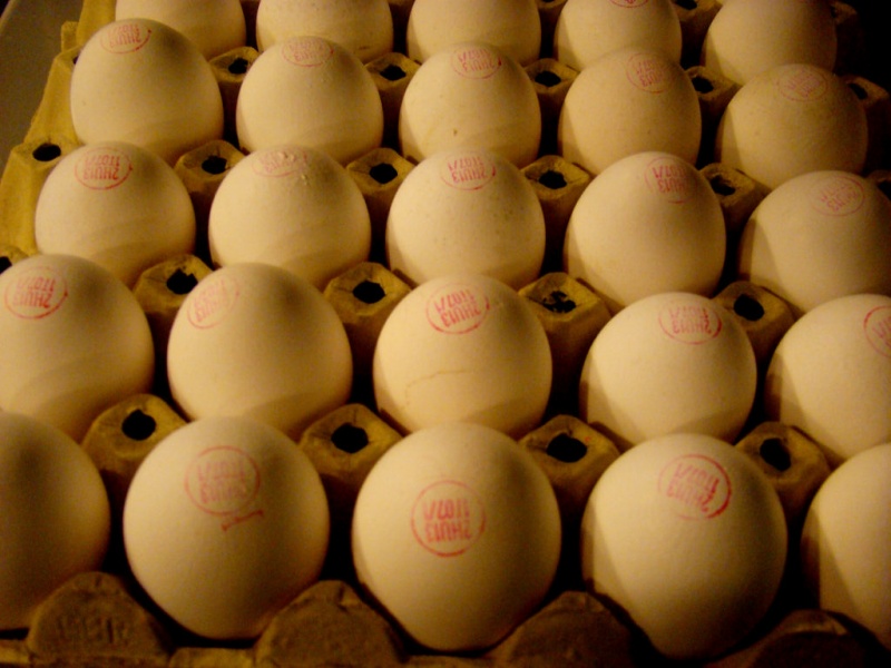 Kóser tojás a Dohány utcai beszerzőhelyen